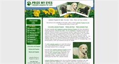 Desktop Screenshot of prizemyeyes.com